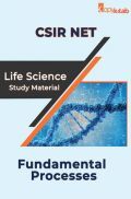 CSIR NET Life Science Study Material Fundamental Processes CSIR NET Life Science Study Material Fundamental Processes